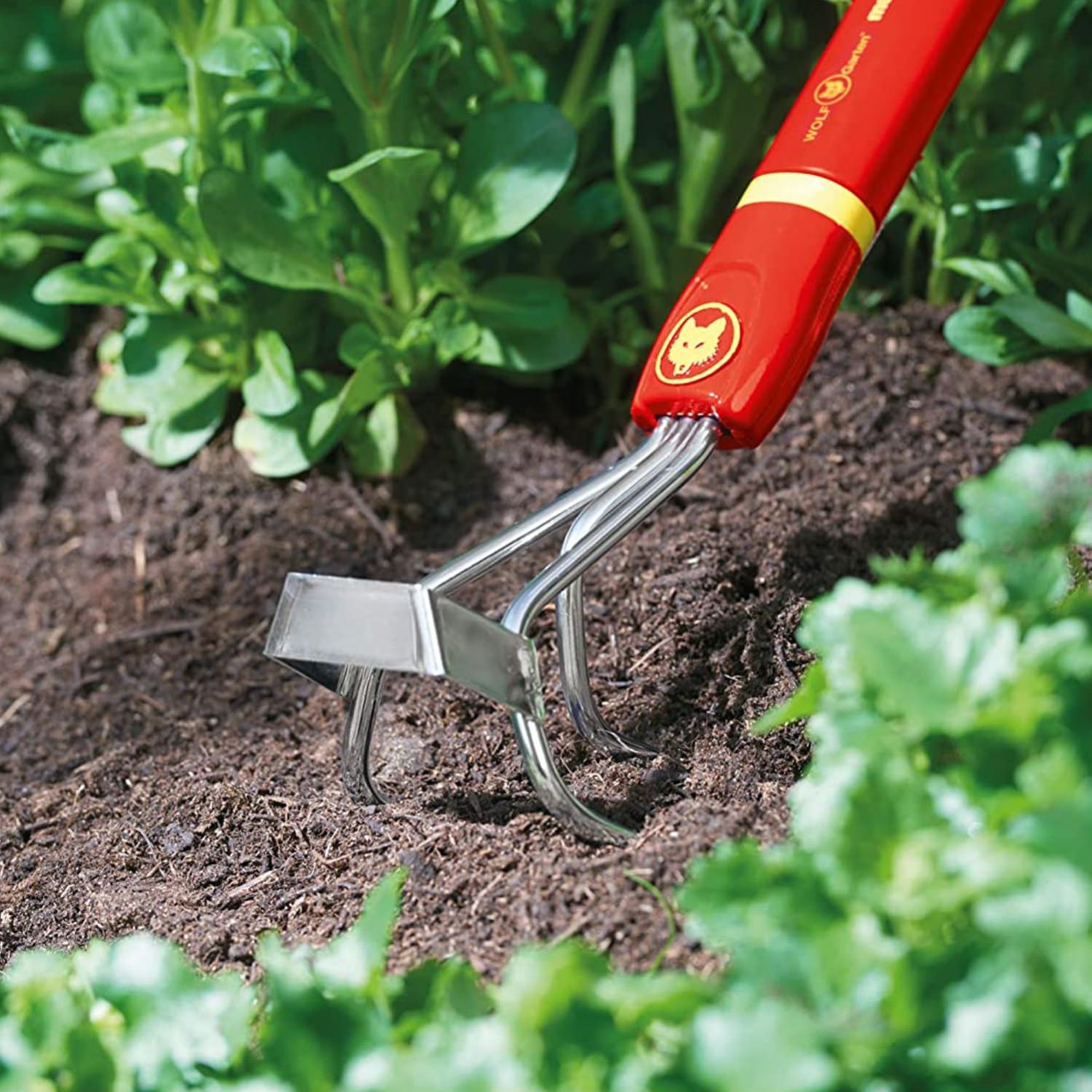 weeding-cultivator