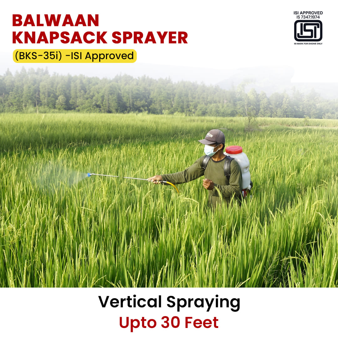 Balwaan ISI Marked 35cc Knapsack Sprayer | BKS-35i