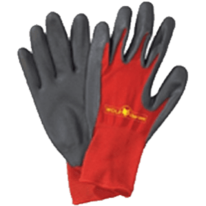 Gloves & Accessories