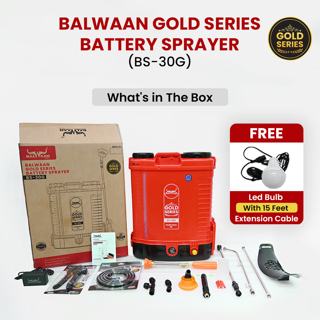 Balwaan Gold Series BS-30G Double Motor Battery Sprayer