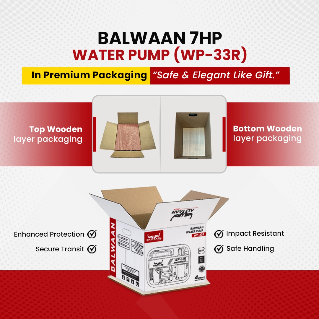 Balwaan-7HP-Water-Pump-(WP33R)