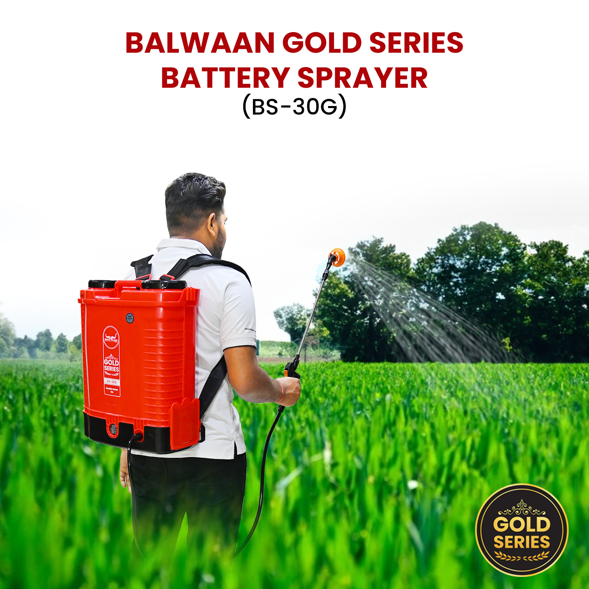 Balwaan Gold Series BS-30G Double Motor Battery Sprayer