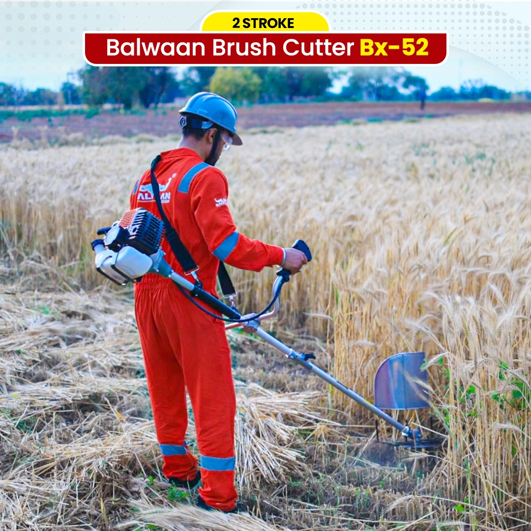 crop-cutting-with-Balwaan-brush-cutter-bx-52