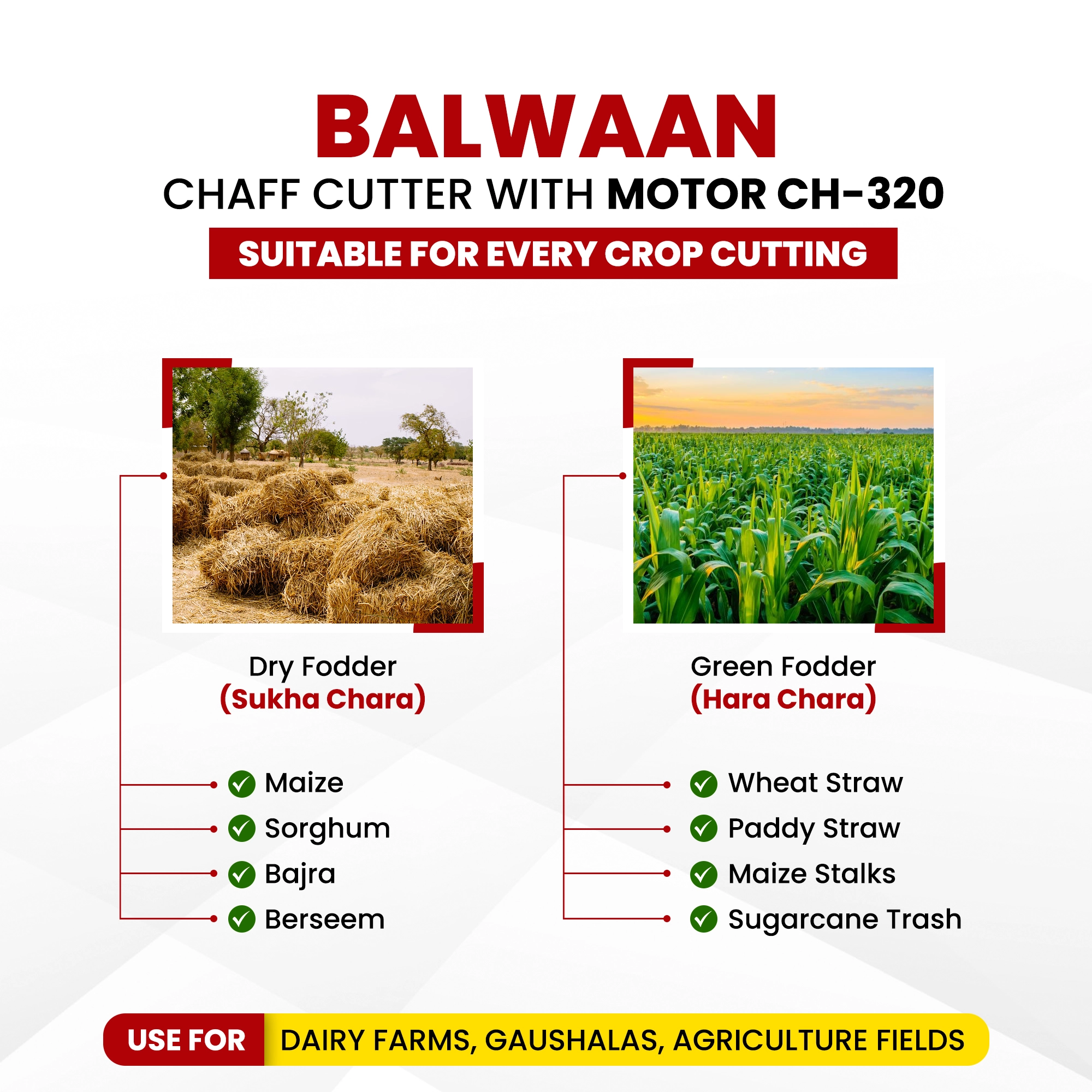 ch-320-3.webp