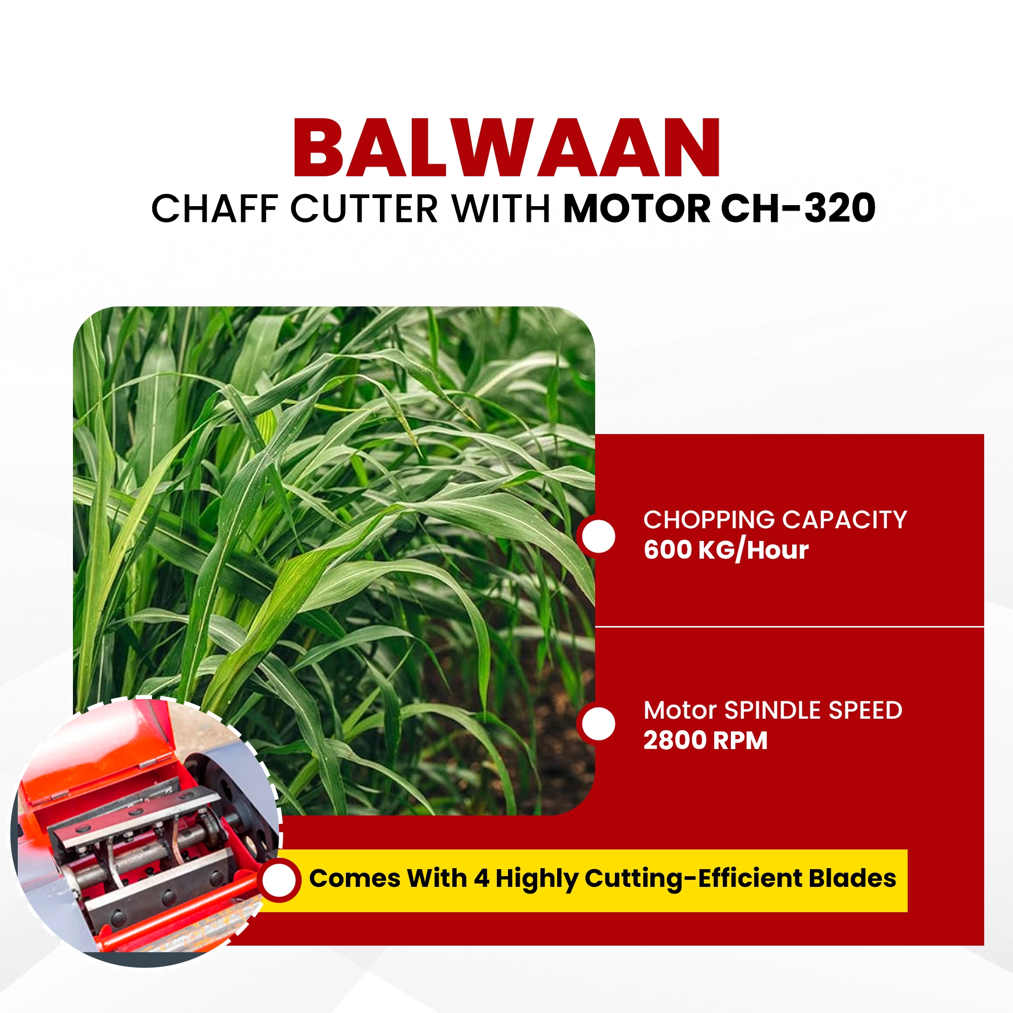 ch-320-4.webp