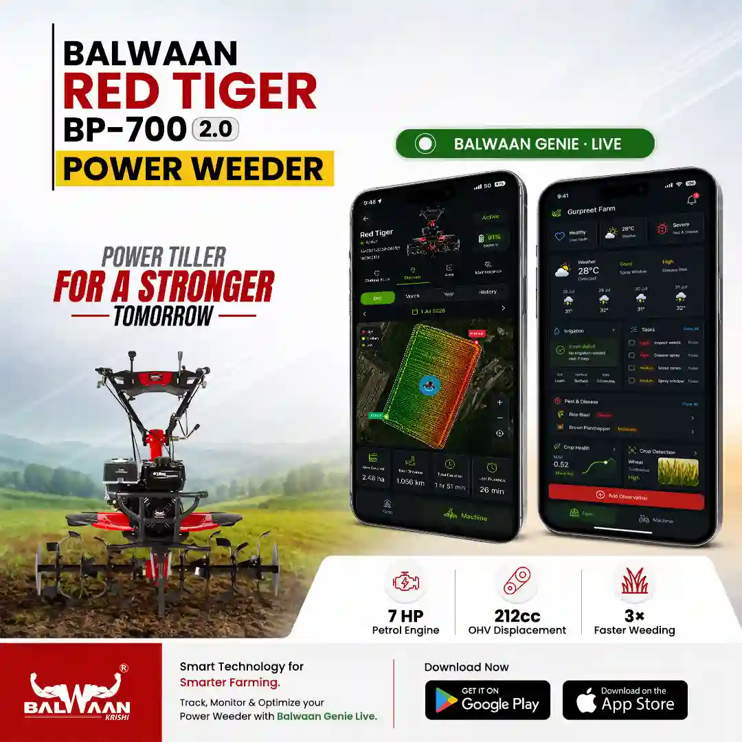 96.webp